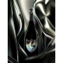 2 Dom Pérignon X Lady Gaga Vintage 2010 - 75cl