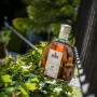 Hine Antique XO Cognac 70 cl