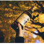 Suntory 12 Ans Single Malt Hakushu Whisky Japonais, 70 cl3