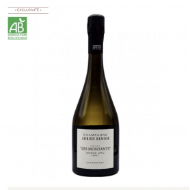 Champagne Adrien Renoir - Les Montants | Bouteille 75CL