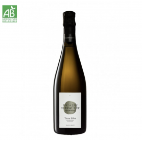 Champagne Antoine Chevalier Tecta Silva| Bouteille 75CL