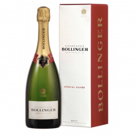 Champagne Bollinger Special Cuvée | Magnum 150CL - Etui