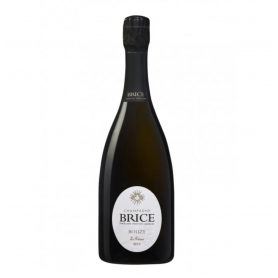 Champagne Brice Le Poteau | Bouteille 75CL