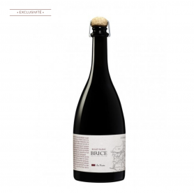 Champagne Brice Bouzy Blanc Les Hautes | Bouteille 75CL