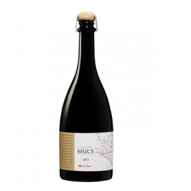 Champagne Brice Coteaux Blanc Le Poteau 2021 | Bouteille 75CL