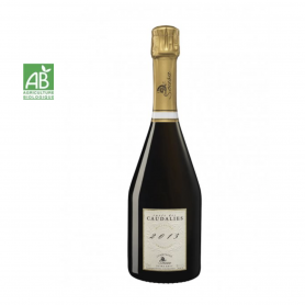 Champagne De Sousa Cuvée des Caudalies | Bouteille 75CL