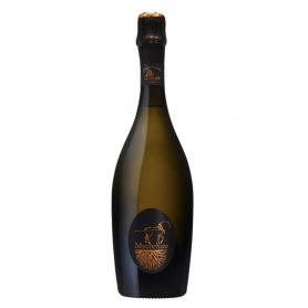 Champagne De Sousa Mycorizhe | Bouteille 75CL