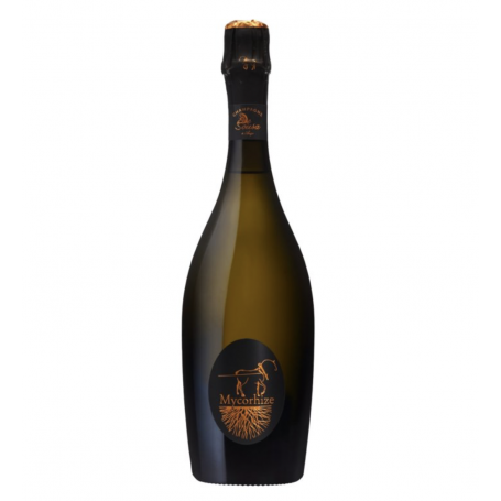 Champagne De Sousa Mycorizhe | Bouteille 75CL