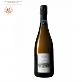 Champagne Dehours La Côte | Bouteille 75CL