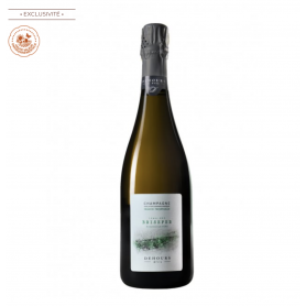 Champagne Dehours Brisefer | Bouteille 75CL