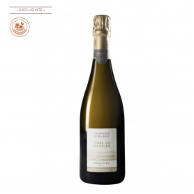 Champagne Dehours Terre de Meunier | Bouteille 75CL