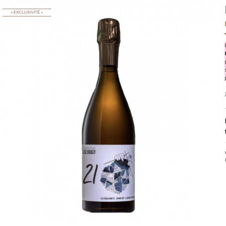Champagne Elise Bougy Les Coullemets | Bouteille 75CL