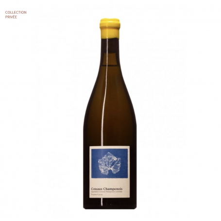 Champagne Etienne Calsac Coteaux Blanc Photogramme | Bouteille 75CL