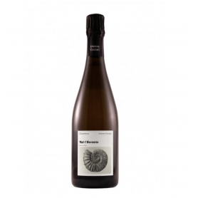 Champagne Etienne Calsac Val l'Hermite | Bouteille 75CL