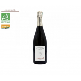 Champagne Etienne Sandrin A Travers Celles | Bouteille 75CL