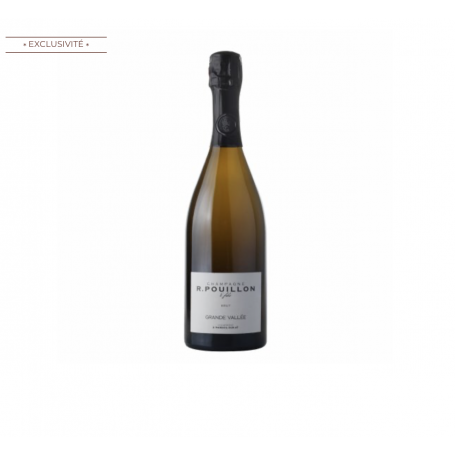 Champagne Fabrice Pouillon Grande Vallée | Bouteille 75CL
