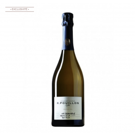 Champagne Fabrice Pouillon Les Valnons | Bouteille 75CL