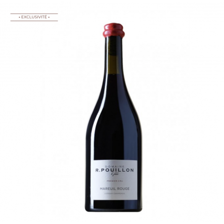 Champagne Fabrice Pouillon Coteaux Champenois Rouge Mareuil-sur-Aÿ 2022 | Bouteille 75CL