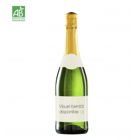 Champagne Fleury Ratafia Champenois | Bouteille 75CL - Etui