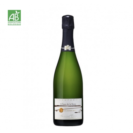 Champagne Françoise Bedel L'Âme de la Terre| Bouteille 75CL