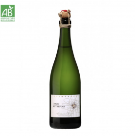 Champagne Françoise Bedel Comme Autrefois| Bouteille 75CL