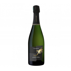 Champagne Jacques Chaput L'Authentic| Bouteille 75CL