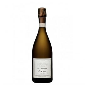 Champagne Léon Enchevêtrer (récolte 2021) | Bouteille 75CL
