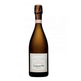 Champagne Léon La Grande Côte (récolte 2020) | Magnum 150CL