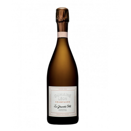 Champagne Léon La Grande Côte (récolte 2020) | Magnum 150CL