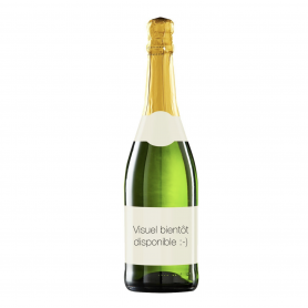 Champagne Louis Nicaise Extra Brut | Bouteille 75CL