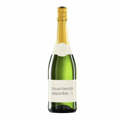 Champagne Louis Nicaise Extra Brut | Bouteille 75CL