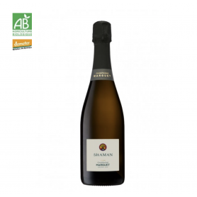 Champagne Marguet Shaman 21 | Bouteille 75CL