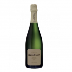 Champagne Mouzon-Leroux L’Incandescent | Bouteille 75CL