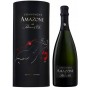 Champagne Palmer & Co Amazone de Palmer | Bouteille 75CL