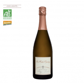 Champagne Philippe Lancelot Les Hauts d’Epernay | Bouteille 75CL