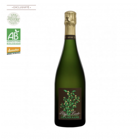 Champagne Philippe Lancelot Fine Fleur | Bouteille 75CL