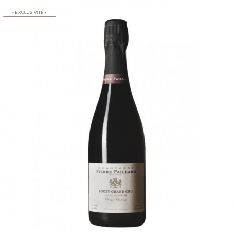 Champagne Pierre Paillard Les Mottelettes | Bouteille 75CL