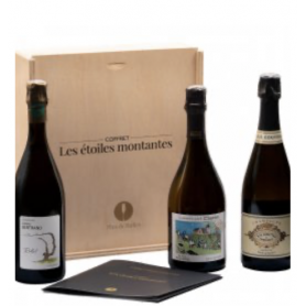 Champagne Plus de Bulles Coffret Les Etoiles Montantes (5e édition) | Bouteille 75CL - Caisse bois