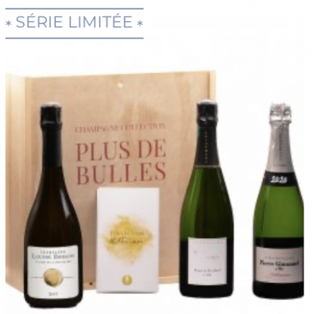 Champagne Plus de Bulles Coffret Collection - Millésime | Bouteille 75CL - Caisse bois