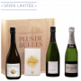 Champagne Plus de Bulles Coffret Collection - Millésime | Bouteille 75CL - Caisse bois