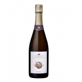 Champagne Régis Poissinet Terre d’Irizée | Bouteille 75CL