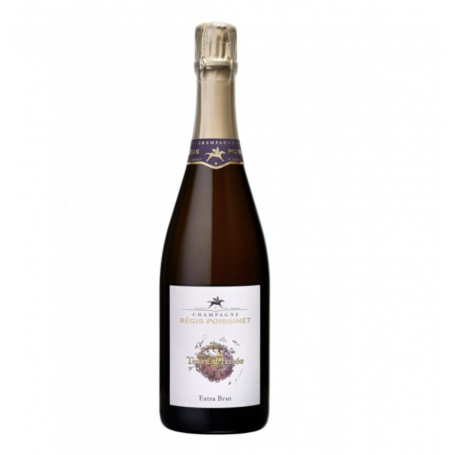 Champagne Régis Poissinet Terre d’Irizée | Bouteille 75CL