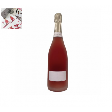 Champagne Régis Poissinet Terre de Rosé | Bouteille 75CL
