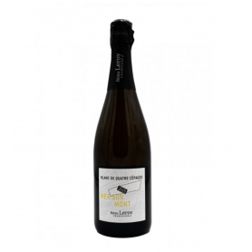 Champagne Rémi Leroy Mer Sur Monts| Bouteille 75CL