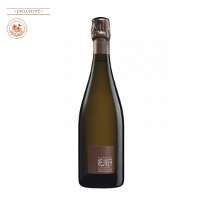 Champagne Thevenet-Delouvin Insolite Meunier | Bouteille 75CL