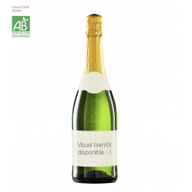 Champagne Vouette et Sorbée Coteaux Rouge L'Entre-Deux | Bouteille 75CL